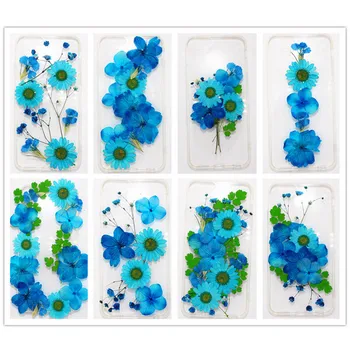 15-21 adet 1 Torba küçük Kurutulmuş Çiçekler Preslenmiş Çiçekler DIY Korunmuş çiçek dekorasyonu Ev Mini bloemen