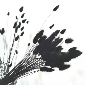 20 ADET Kurutulmuş Çiçekler Pampas Çim Siyah Tavşan Kuyruğu Çim Yapay Buket İskandinav Tarzı Ev yatak odası dekoru Parti Dekorasyon DIY