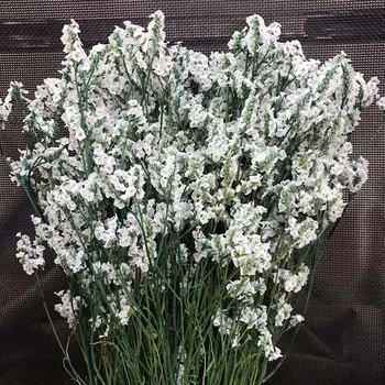 80g / 40~45CM Gerçek Doğal Taze Kurutulmuş Kristal Çim Korunmuş Gül Çiçek, Eternelle Delphinium Buket Beyaz Ev Dekor için