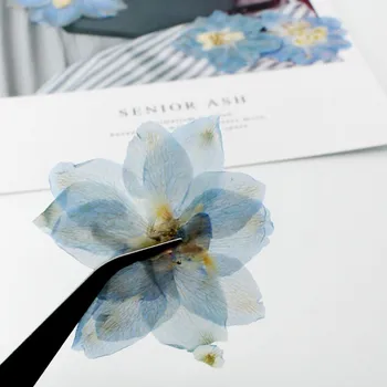 Açık Mavi Büyük Larkspur Noel Dekorasyon İçin Basın Kurutulmuş Çiçek 60 Adet Ücretsiz Kargo