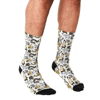 Erkek komik çoraplar İnanılmaz Bilim Baskılı Çorap harajuku Erkekler Mutlu hip hop Yenilik sevimli erkek Ekip Rahat Çılgın Çorap erkekler için